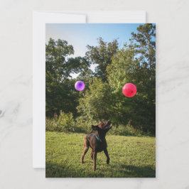 Chocolade Lab Party uitnodiging