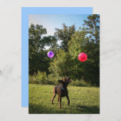 Chocolade Lab Party uitnodiging (Voorkant / Achterkant)