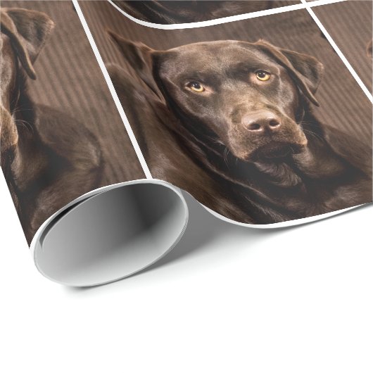 Chocolade Lab Pet Chocolate Labrador Retriever Cadeaupapier (Rol Hoek)
