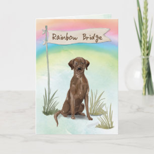Chocolade Lab Pet Sympathie voor regenboogbrug Kaart