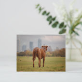 Chocolade Lab Pit Mix Dog - Austin TX Briefkaart (Staand voorkant)