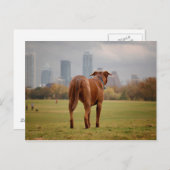 Chocolade Lab Pit Mix Dog - Austin TX Briefkaart (Voorkant / Achterkant)