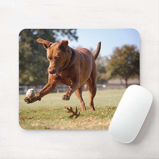 Chocolade Lab Pit Mix Dog Chasing Ball Muismat (Met muis)