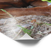 Chocolade Lab Pit Mix Dog en Speelgoed Foto Afdruk (Hoek)