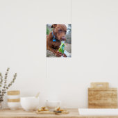 Chocolade Lab Pit Mix Dog en Speelgoed Poster (Keuken)