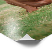 Chocolade Lab Pit Mix Dog glimlachen 2 Foto Afdruk (Hoek)