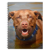 Chocolade Lab Pit Mix Dog glimlachen Notitieboek (Voorkant)