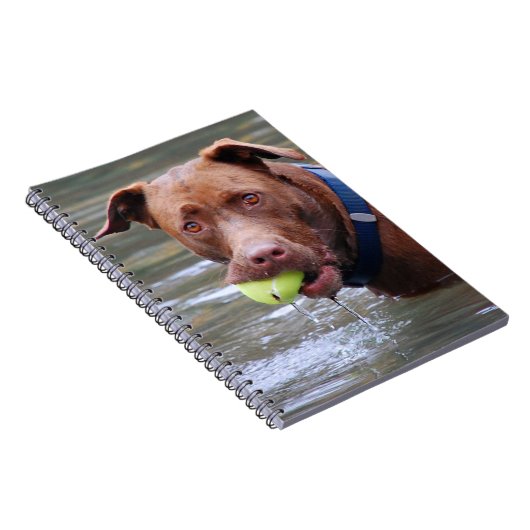 Chocolade Lab Pit Mix Dog met bal Notitieboek (Rechterzijde)