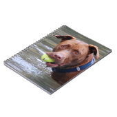 Chocolade Lab Pit Mix Dog met bal Notitieboek (Linkerzijde)