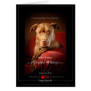 Chocolade Lab Pit Mix Dog Movie Poster
