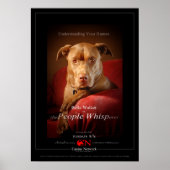 Chocolade Lab Pit Mix Dog Movie Poster (Voorkant)