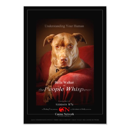Chocolade Lab Pit Mix Dog Movie Poster (Voorkant)