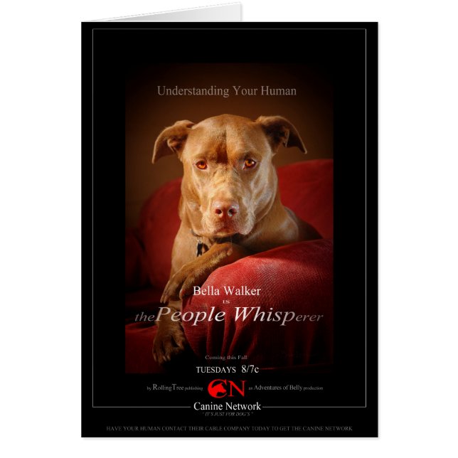 Chocolade Lab Pit Mix Dog Movie Poster (Voorkant)