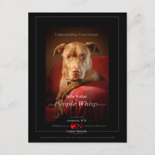 Chocolade Lab Pit Mix Dog Movie Poster Briefkaart