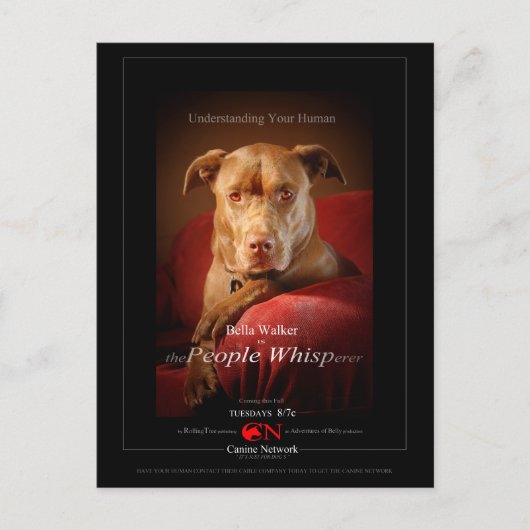 Chocolade Lab Pit Mix Dog Movie Poster Briefkaart (Voorkant)