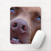 Chocolade Lab Pit Mix Dog Nose Muismat (Met muis)