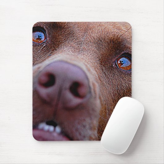 Chocolade Lab Pit Mix Dog Nose Muismat (Met muis)