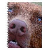 Chocolade Lab Pit Mix Dog Nose Notitieboek (Voorkant)