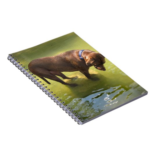 Chocolade Lab Pit Mix Dog Op zoek naar vis Notitieboek (Rechterzijde)