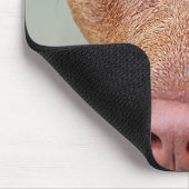 Chocolade Lab Pit Mix Dog Portret 2 Muismat (Hoek)
