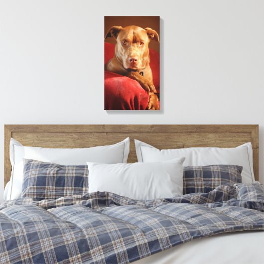 Chocolade Lab Pit Mix Dog Portret 3 Canvas Afdruk (Insitu (Slaapkamer))