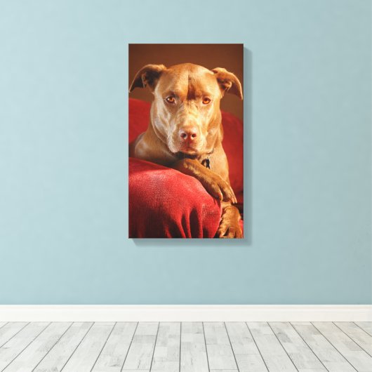 Chocolade Lab Pit Mix Dog Portret 3 Canvas Afdruk (Insitu (Houten vloer))
