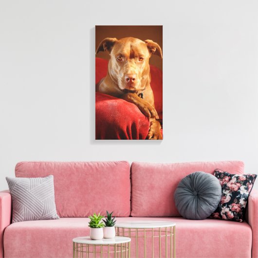 Chocolade Lab Pit Mix Dog Portret 3 Canvas Afdruk (Insitu (Woonkamer))
