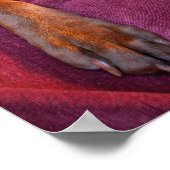 Chocolade Lab Pit Mix Dog Portret Poster (Hoek)