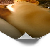 Chocolade Lab Pit Mix Dog Tugging Poster (Hoek)