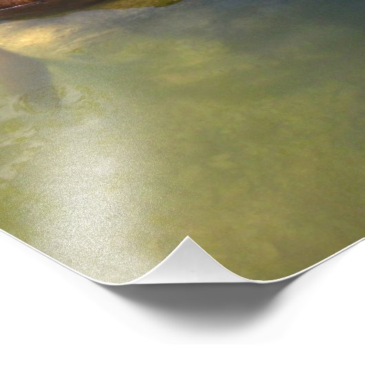 Chocolade Lab Pit Mix Dog Vissen 3 Foto Afdruk (Hoek)