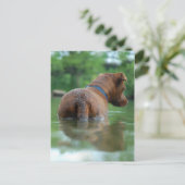 Chocolade Lab Pit Mix Dog Zwemmen 4 Briefkaart (Staand voorkant)