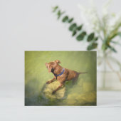 Chocolade Lab Pit Mix Dog Zwemmen 6 Briefkaart (Staand voorkant)