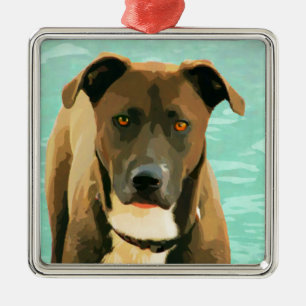 Chocolade Lab Pitbull Mix Pitador Labrabull Metalen Ornament