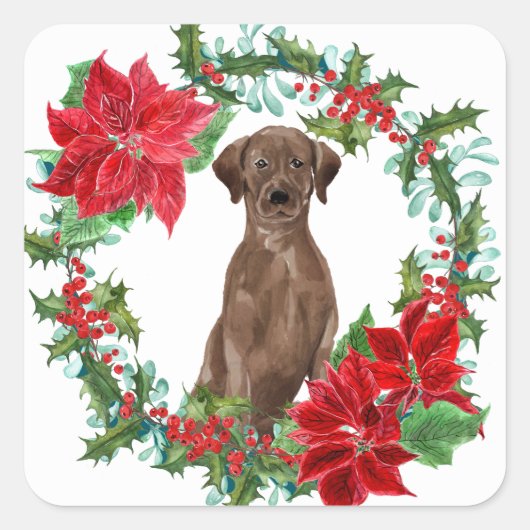 Chocolade Lab Poinsettia Kerstkrans Vierkante Sticker (Voorkant)