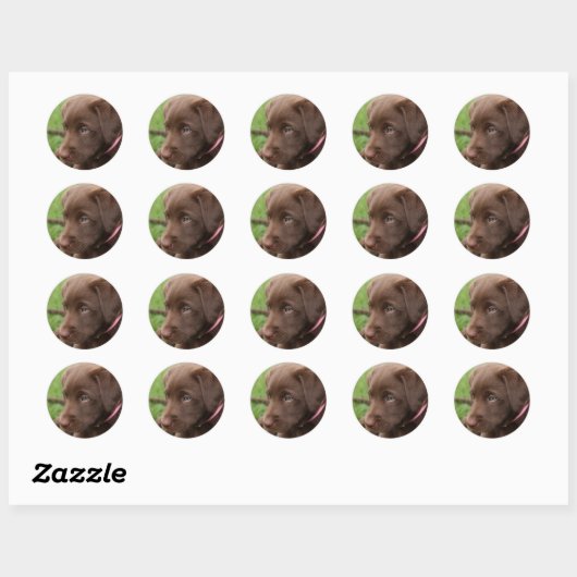 Chocolade Lab Pup Sticker (Vel)