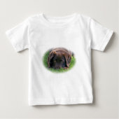 Chocolade Lab Puppy (Voorkant)