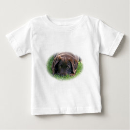 Chocolade Lab Puppy