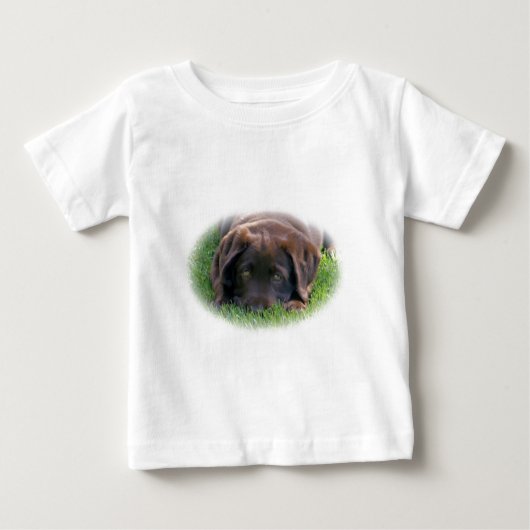 Chocolade Lab Puppy (Voorkant)