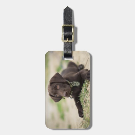 Chocolade Lab Puppy Bagagelabel (Voorkant verticaal)