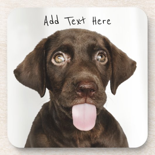 Chocolade Lab Puppy Bier Onderzetter (Voorkant)