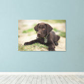 Chocolade Lab Puppy Canvas Afdruk (Insitu (Houten vloer))