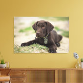 Chocolade Lab Puppy Canvas Afdruk (Insitu (Woonkamer))