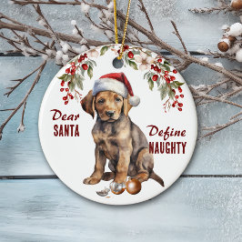 Chocolade Lab Puppy Definieer ondeugende Kerstmis Keramisch Ornament