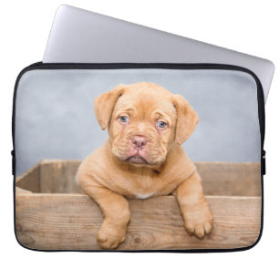Chocolade Lab Puppy Dog Brown Labrador Retriever Laptop Sleeve