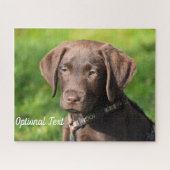 Chocolade Lab Puppy Dog Legpuzzel (Horizontaal)