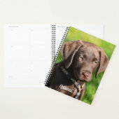 Chocolade Lab Puppy Dog Planner (Display)