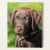 Chocolade Lab Puppy Dog Planner (Achterkant)