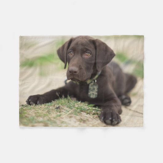 Chocolade Lab Puppy Fleece Deken (Voorkant (Horizontaal))
