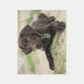Chocolade Lab Puppy Fleece Deken (Voorkant)