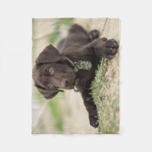 Chocolade Lab Puppy Fleece Deken (Voorkant)